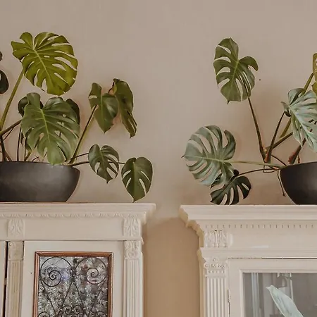 Lampada Di Aladino فندق